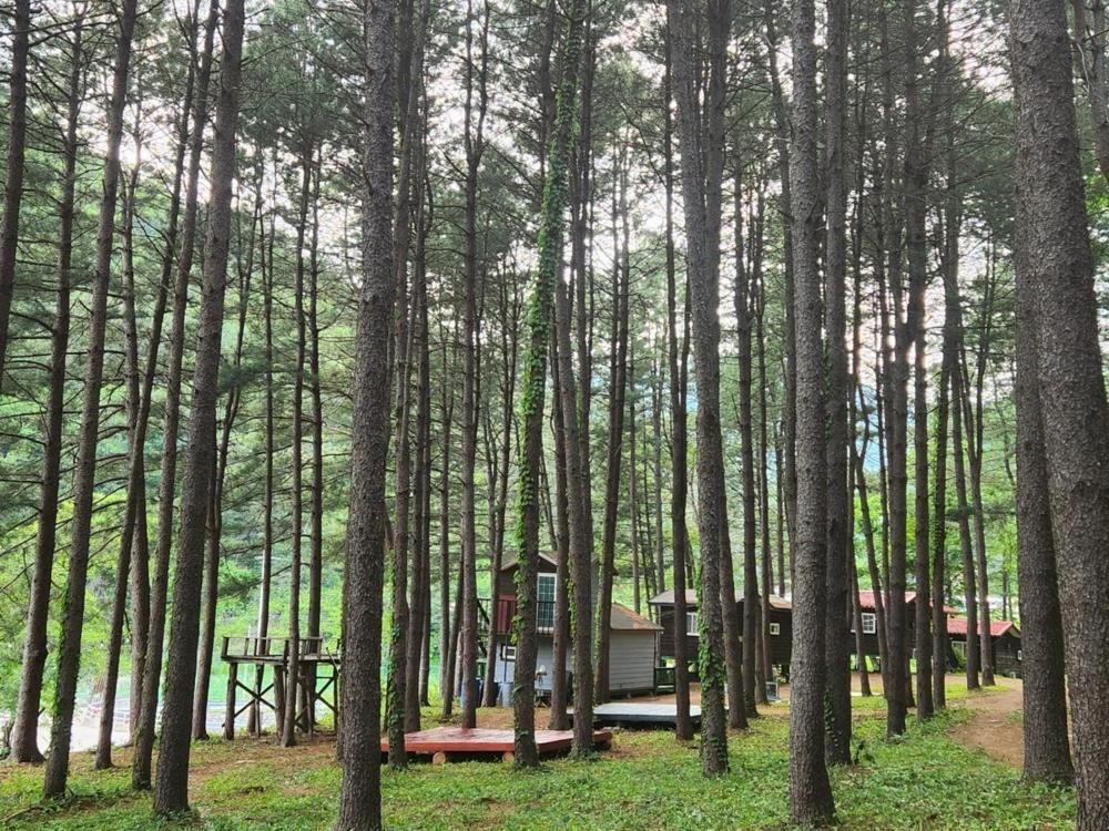 Hongcheon Gongjaksan Recreational Forest Pension ภายนอก รูปภาพ