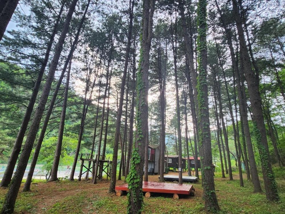 Hongcheon Gongjaksan Recreational Forest Pension ภายนอก รูปภาพ