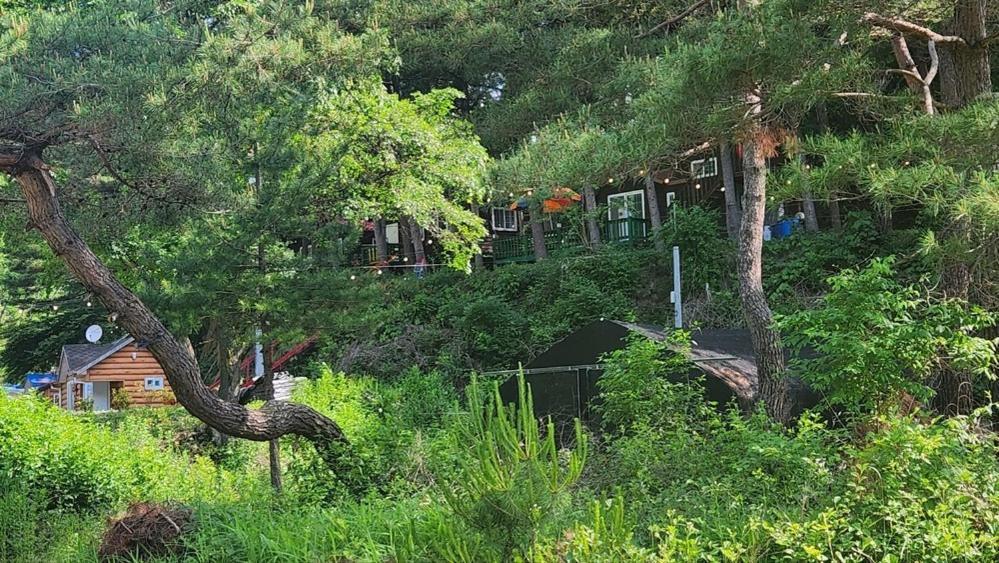 Hongcheon Gongjaksan Recreational Forest Pension ภายนอก รูปภาพ